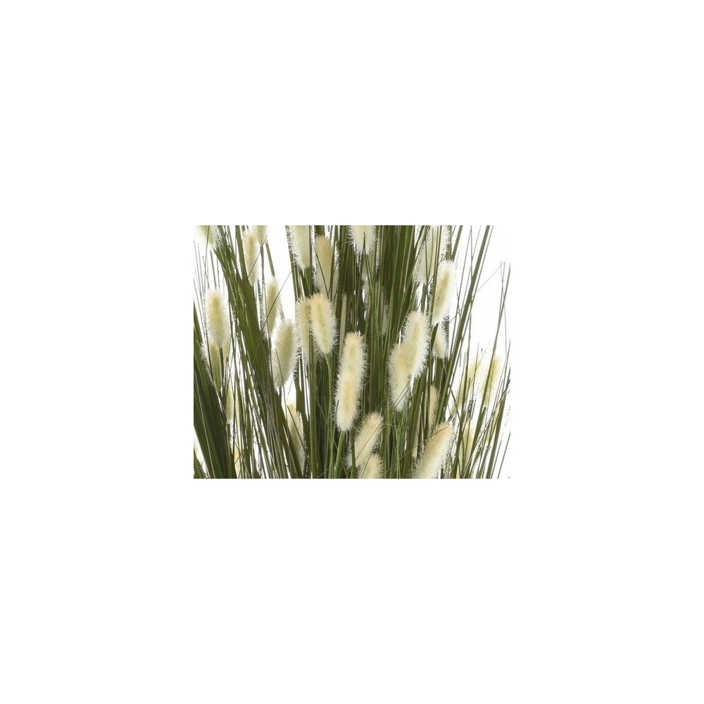PIANTA PAMPAS WHITE H150